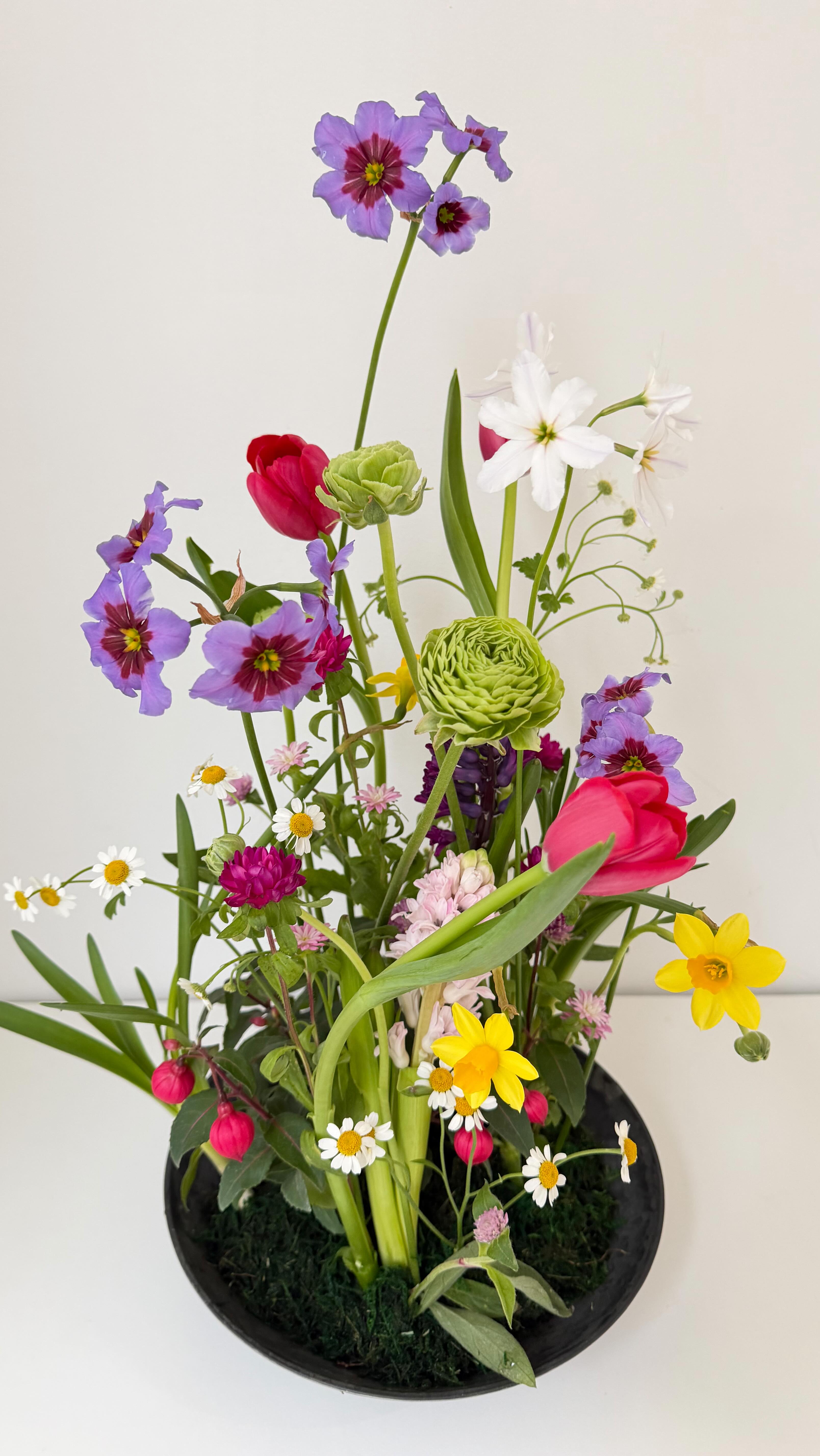 自由が丘 桜新町のフラワースクール ブルーメンツアウバ Blumenzauber です。 今月はアーティフィシャルフローリスト®︎試験、NFD公認校試験、卒業式卒園式とレッスンの目のまわる忙しい日々…。 きっと皆様もそうてすよね3月は。 今月のレッスンは寄せ植え風アレンジ。 毎週市場で仕入れる花や苗で表情は変わります♪ ある時はビオラ、パンジー、ムスカリ、ヒヤシンス、チューリップ、水仙など。 今週はビオラ、パンジーの代わりにフクシアバレリーナを。 これがまた可愛い🩷のです〜。 とくとお楽しみくださいませ😊 生徒さんたちもびっくりのInstagramになりました❗️ 今週末はKeira Style Course なので、ワンデイレッスン作品はこちらで終了です。 スクールでは春の体験レッスン受付中です。 趣味で楽しみたい方、プロとして仕事をしたい方まで、幅広い年代や国籍の方にご利用いただいております。 お申込みお問合せはプロフィール欄ホームページお問合せボタン🔘よりお願いします。 @sawakoueki @flowerdesigner_nfd #桜新町フラワースクール #自由が丘フラワースクール #花の資格